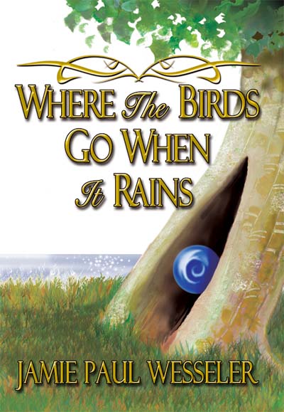 Where The Birds Go When It Rains  by: Jamie Paul Wesseler